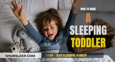 Rousing Toddlers: Strategies to Gently Wake Sleepyheads