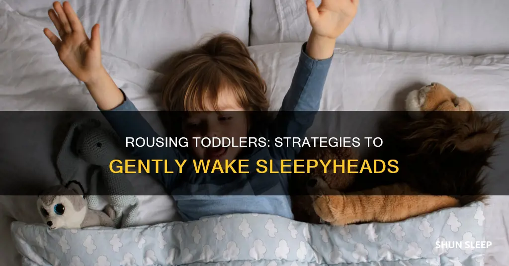 how to wake a sleeping toddler
