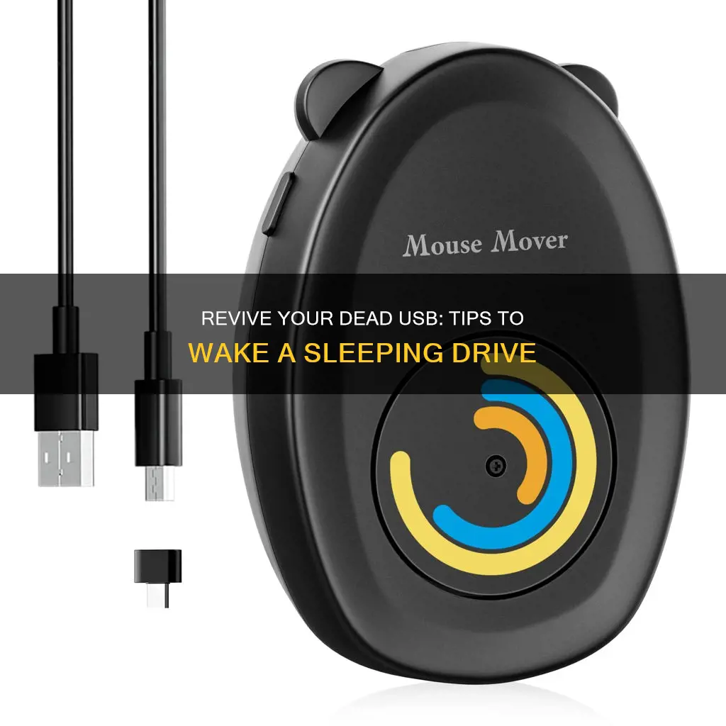 how to wake a sleeping usb drive