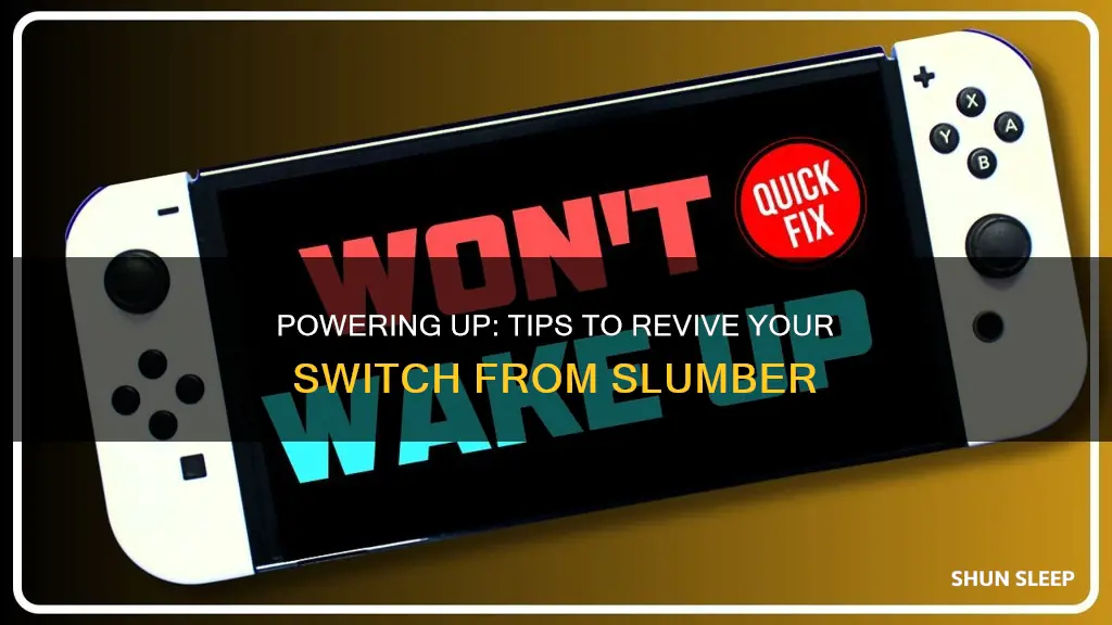 how to wake a switch from sleep