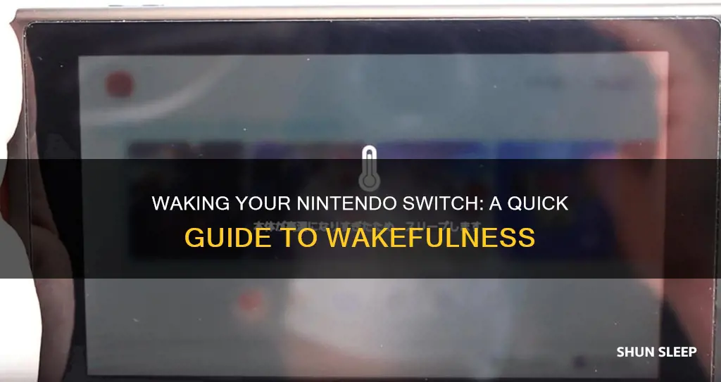 how to wake a switch from sleep