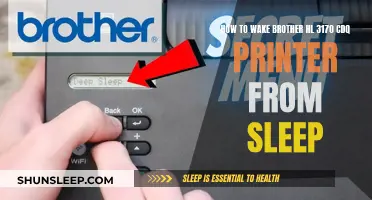 Troubleshooting: Wake Your Brother HL-3170 CDQ Printer from Sleep Mode