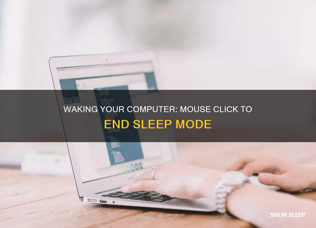 how to wake compter from sleep click mouse