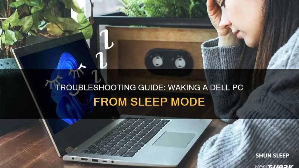 how to wake computer from sleep windows 10 dell