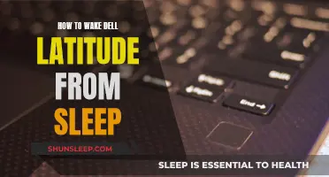 Waking Up a Dell Latitude: Sleep Mode Troubleshooting