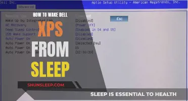 Dell XPS: Quick Tips to Wake from Sleep Mode