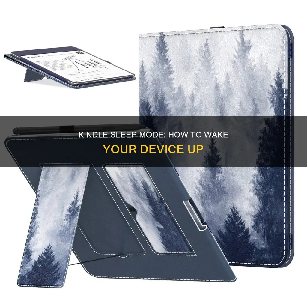 how to wake kindle from sleep