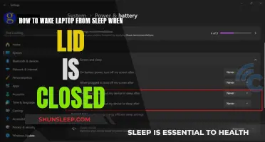 Troubleshooting Guide: Wake Laptop from Sleep with Lid Closed