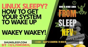 Linux Sleep Tips: Wake Your System from NVMe Fast