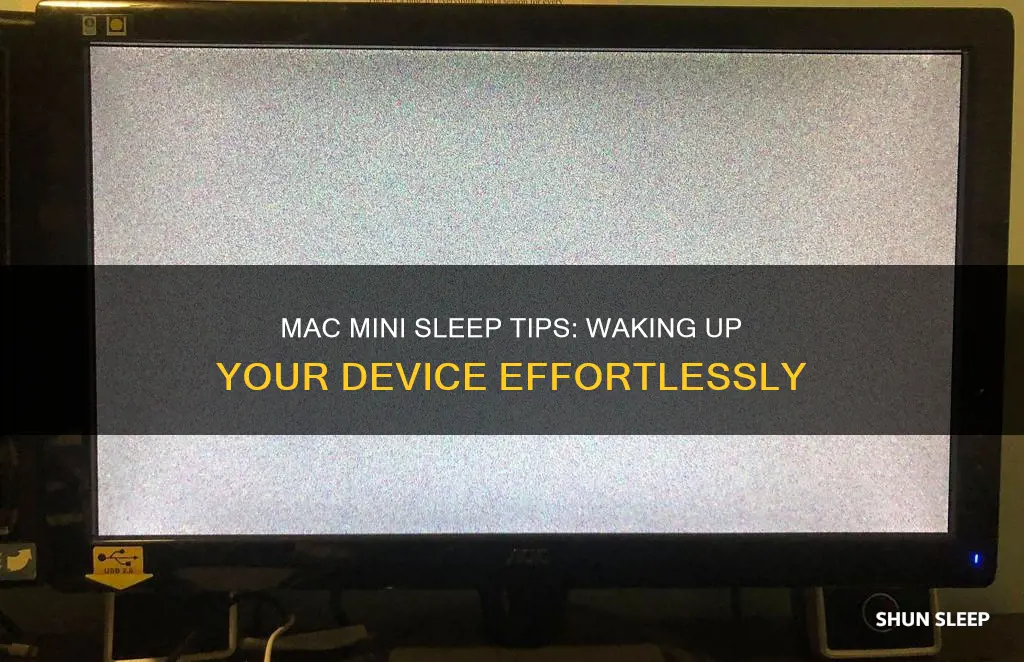 how to wake mac mini from sleep