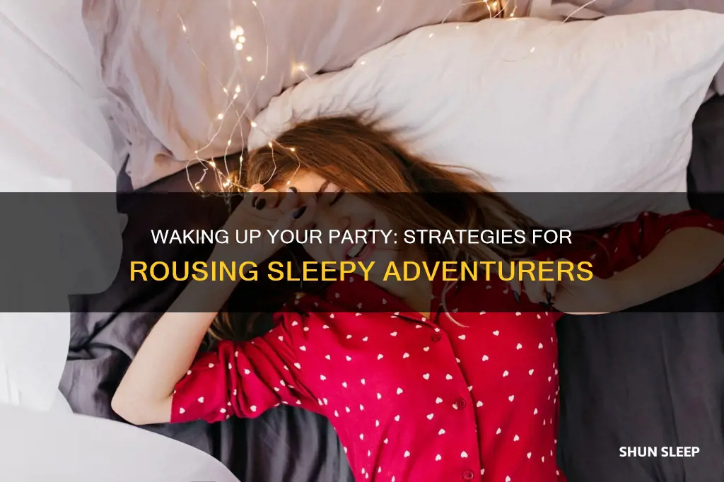 how to wake party member from sleep