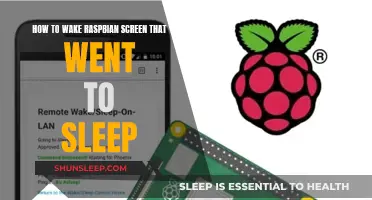 Raspberry Pi: Wake Your Raspbian Screen from Slumber