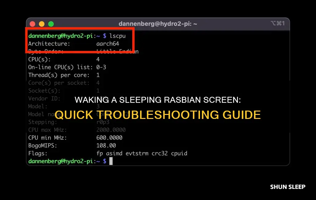 how to wake raspbian screen that went to sleep