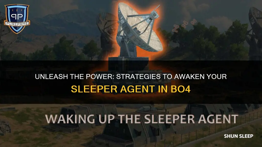 how to wake sleeper agent bo4