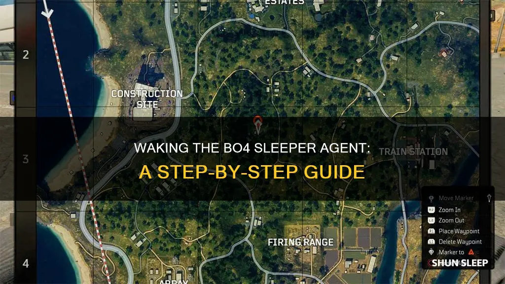 how to wake sleeper agent bo4