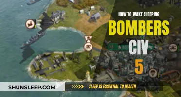 Awakening Civ's Sleeping Bomber: Strategies for Success in CIV V