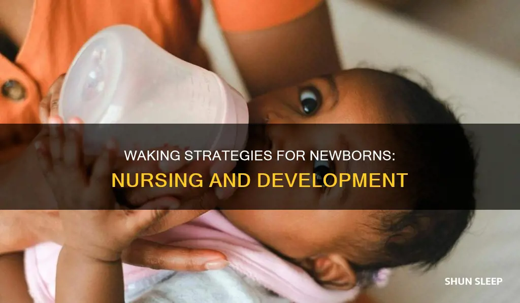 how to wake sleeping newborn to nurse