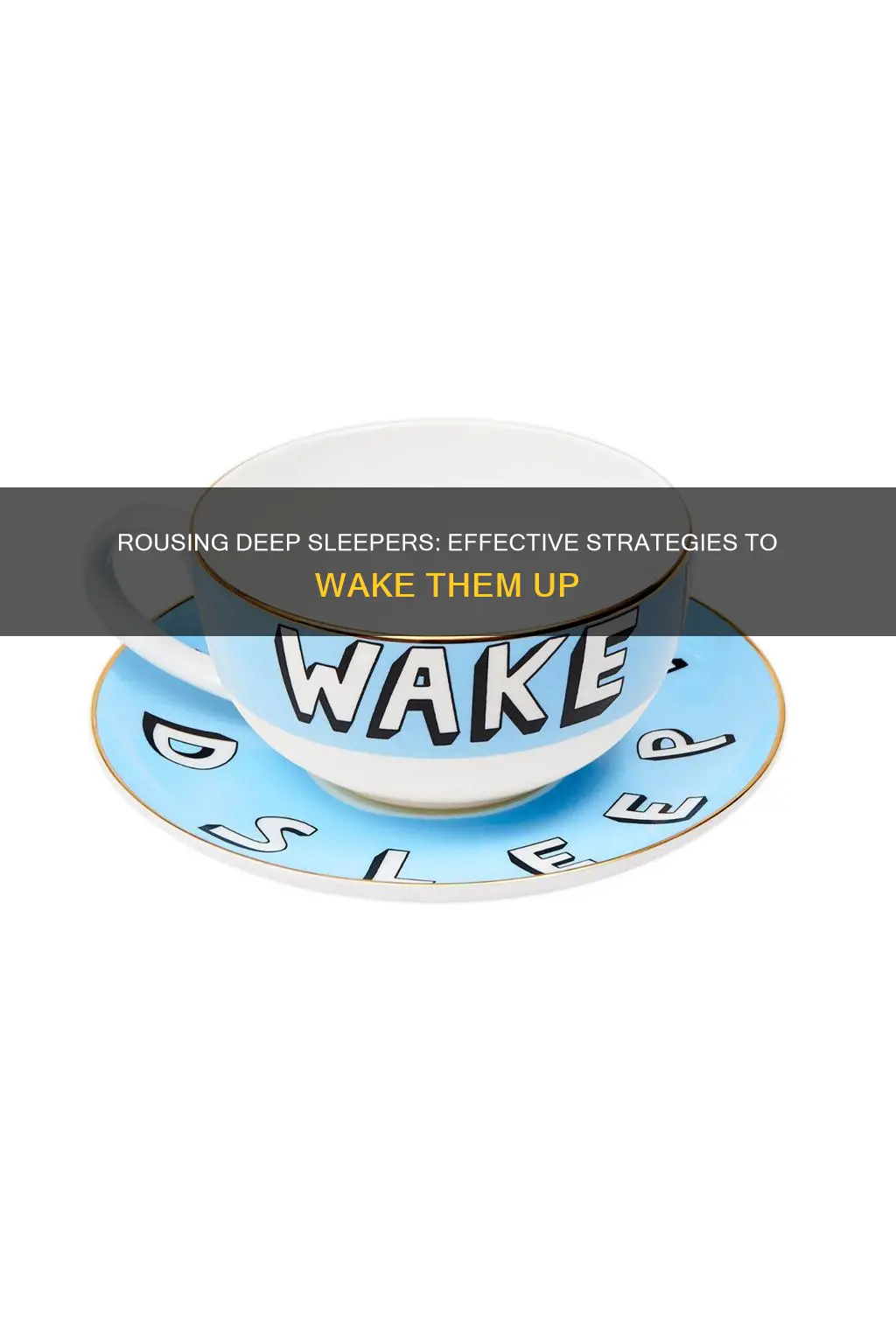 how to wake someone from a dead sleep