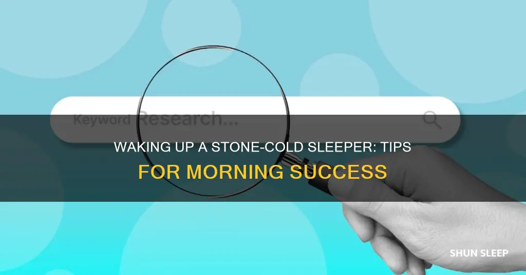 how to wake someone up who sleeps like a brick