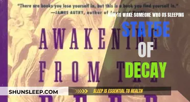 Revive Slumber: Effective Strategies to Awaken a Decaying Sleep State