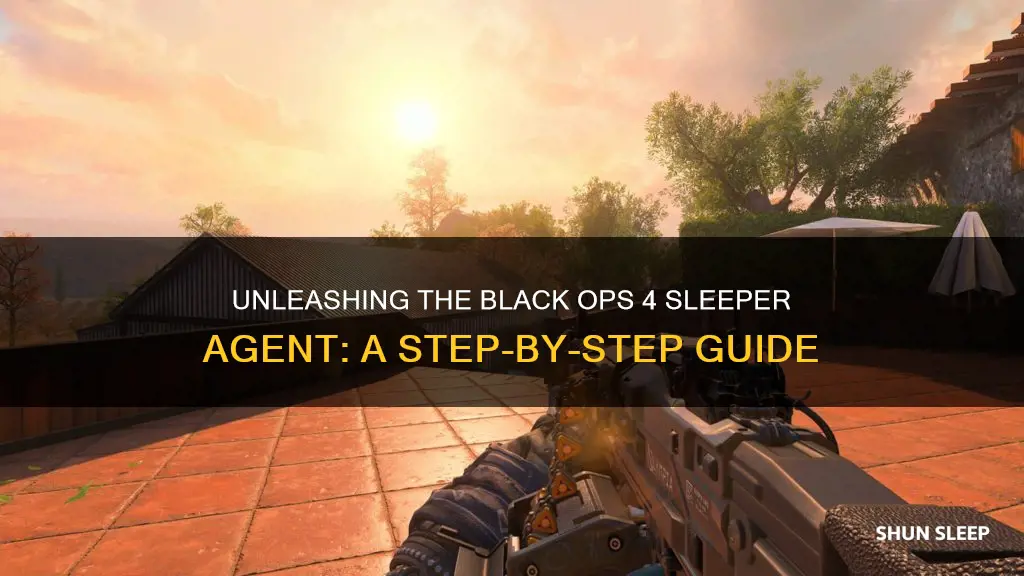 how to wake the sleeper agent black ops 4