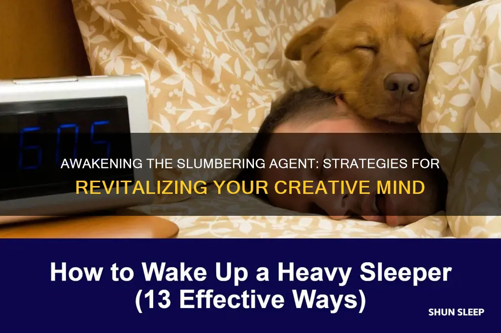 how to wake the sleeper angent