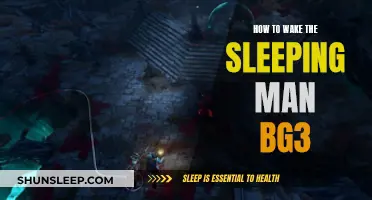 Awakening the Slumbering Companion in BG3: A Guide