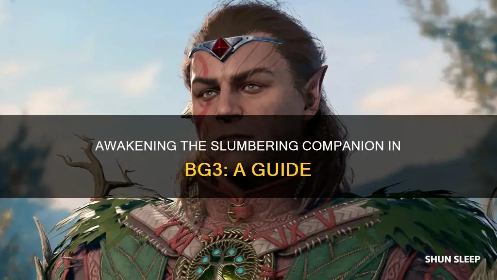 how to wake the sleeping man bg3
