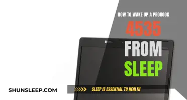 Revive Your ProBook 4535: Quick Tips to Wake Up from Sleep Mode