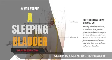 Waking Up a Sleeping Bladder: Tips for Better Bladder Health