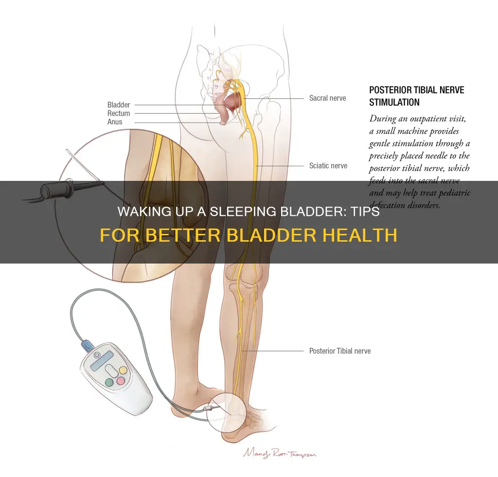 how to wake up a sleeping bladder