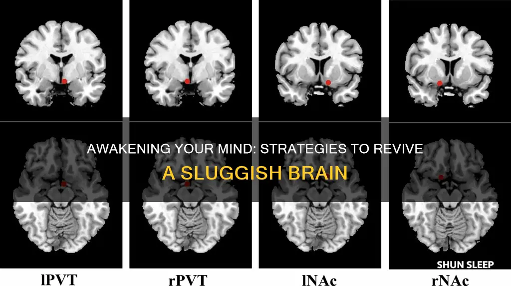 how to wake up a sleeping brain