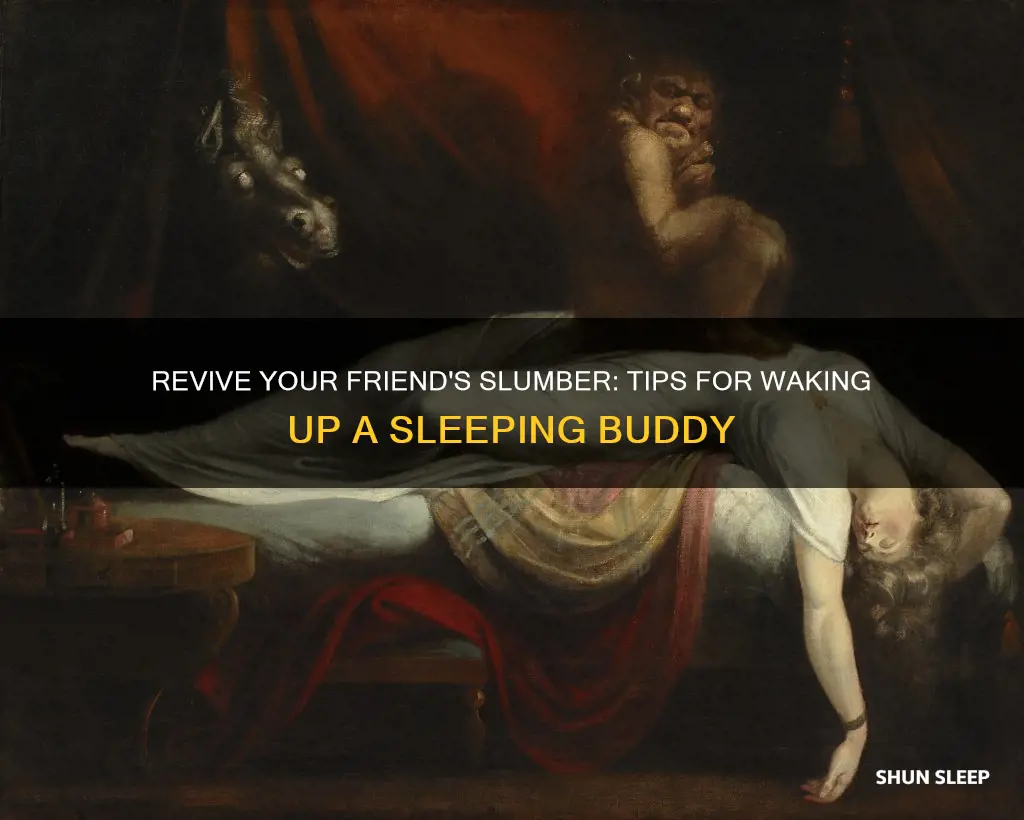 how to wake up a sleeping friend