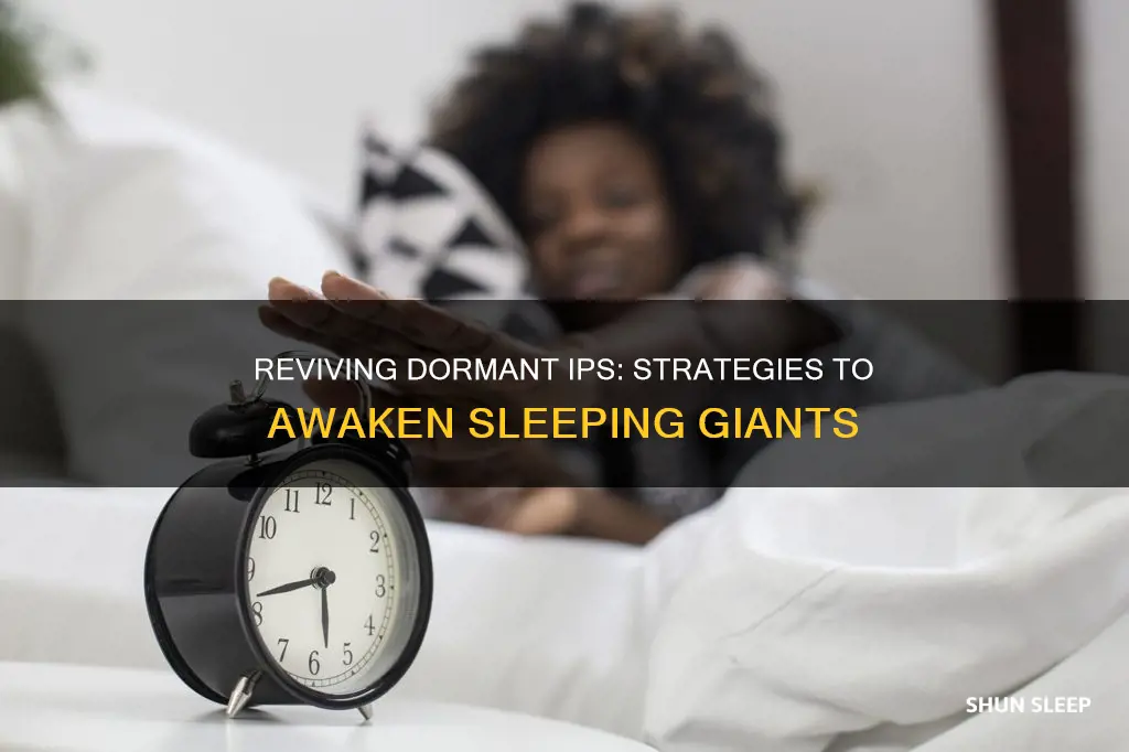 how to wake up a sleeping ip