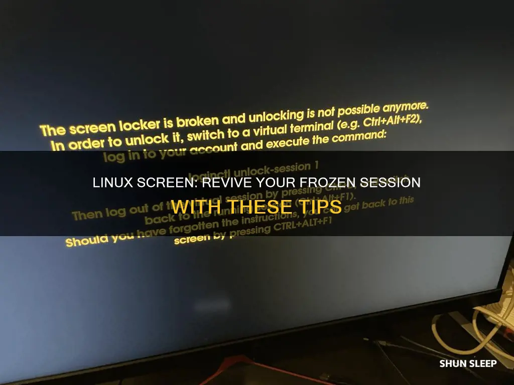 how to wake up a sleeping linux screen