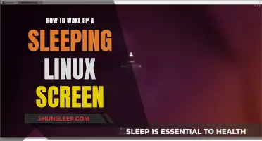Reviving a Dormant Linux Screen: Quick Troubleshooting Guide