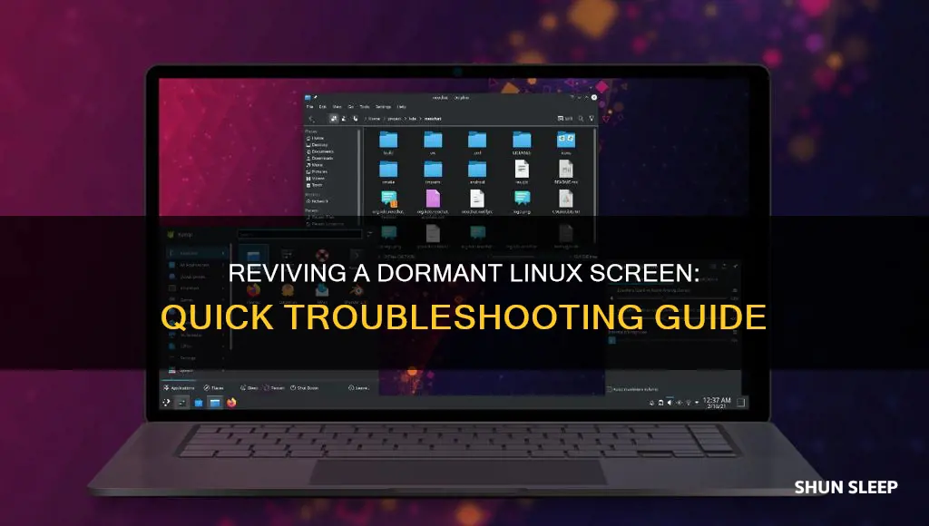 how to wake up a sleeping linux screen