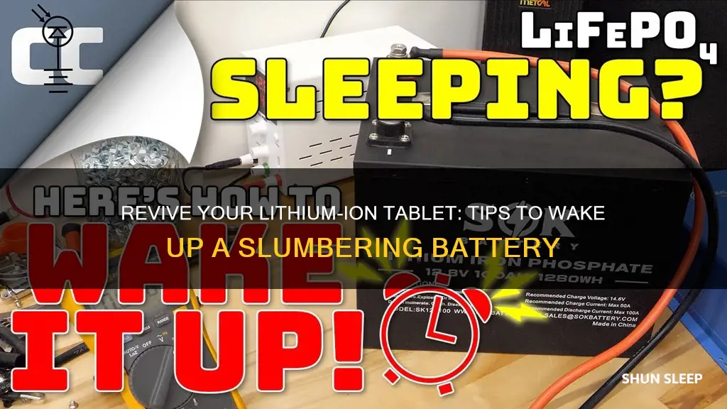 how to wake up a sleeping lithium ion tablet battery