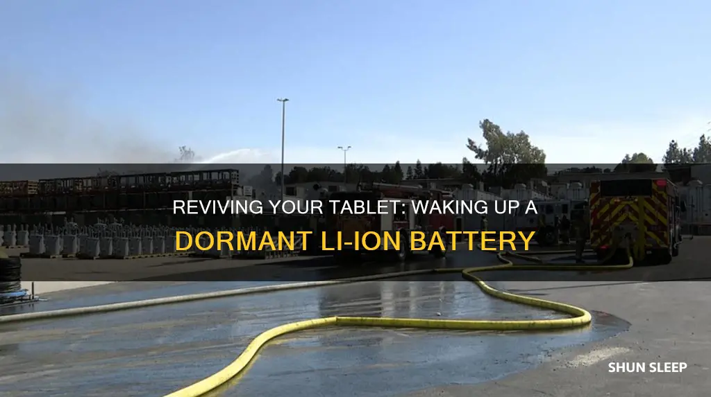how to wake up a sleeping lithium ion tablet battery
