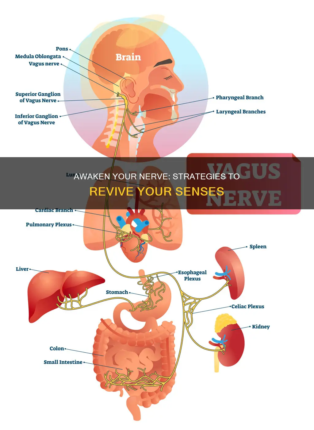 how to wake up a sleeping nerve