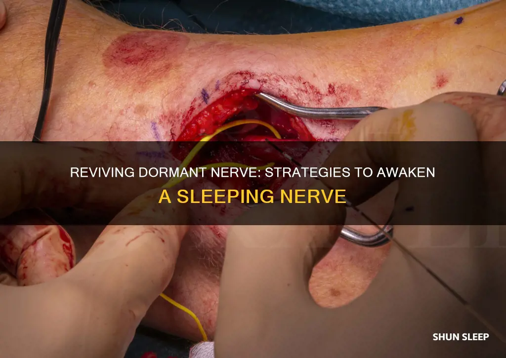 how to wake up a sleeping nerve