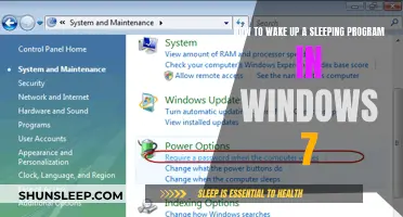 Waking Up Windows 7: Reviving Dormant Programs