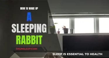 Unleash the Slumbering Rabbit: Tips for Waking Up Your Pet