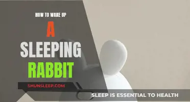 Rabbits: Gently Waking Up Your Fluffy Companion