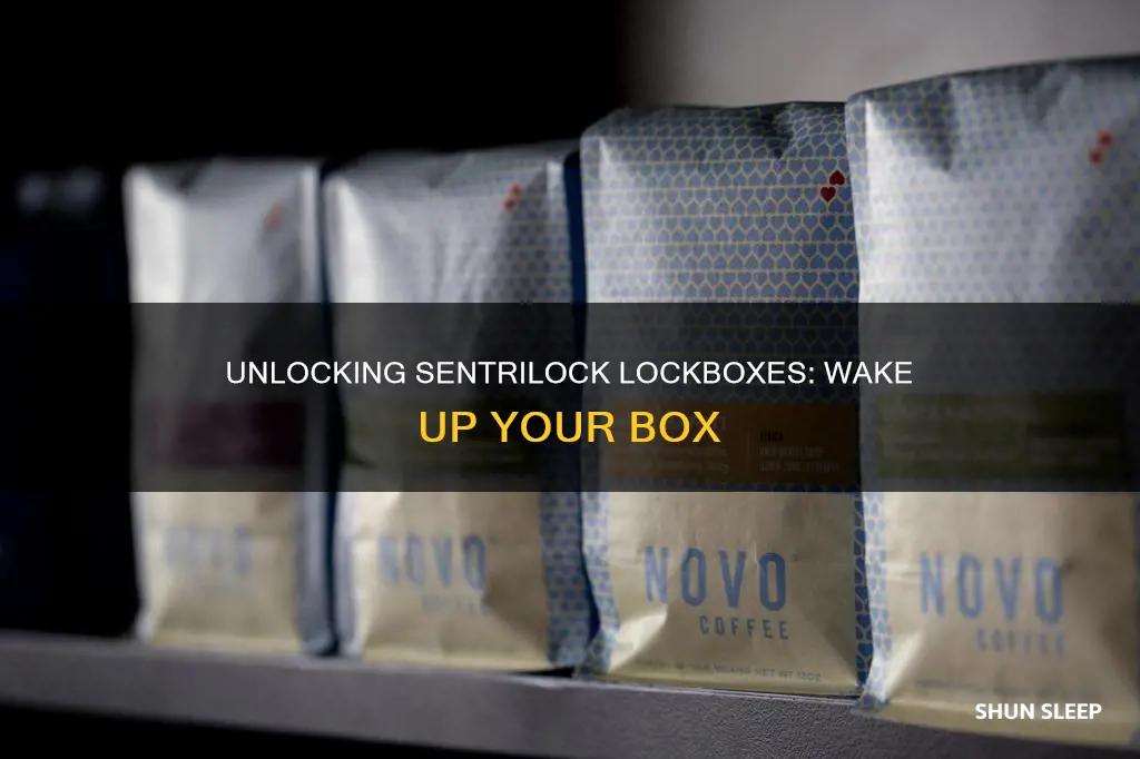 how to wake up a sleeping sentrilock lockbox