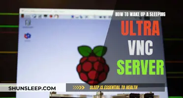 Waking Up a Dormant Ultra VNC Server: Troubleshooting Guide