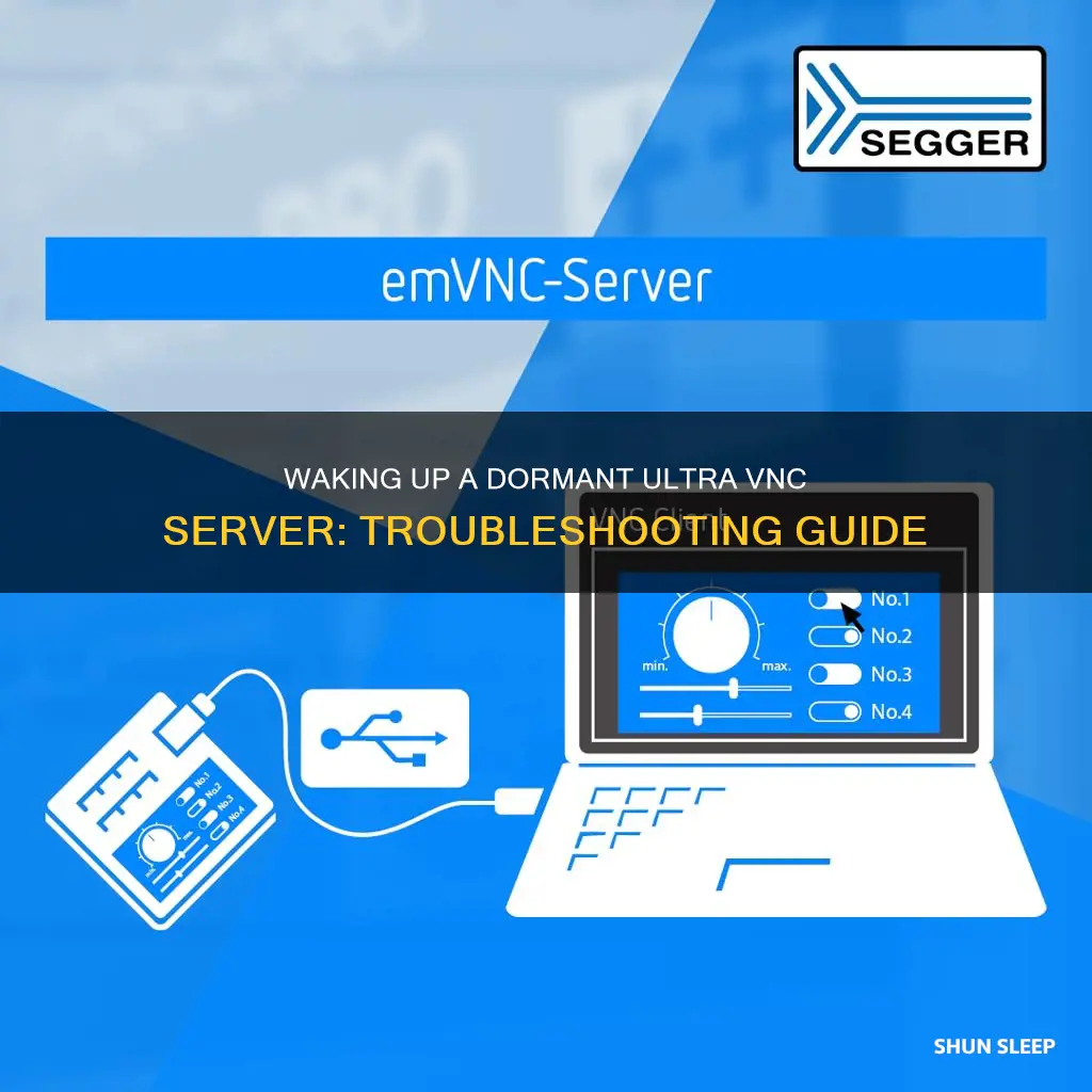 how to wake up a sleeping ultra vnc server