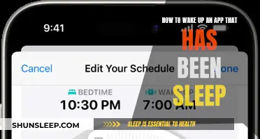 Revive Your App: Tips to Wake Up a Slumbering Program