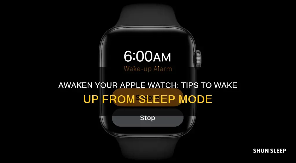 how to wake up apple watch from sleep