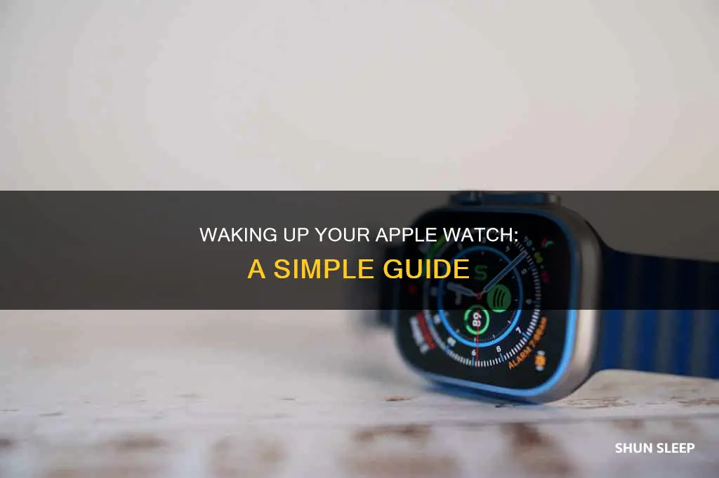 how to wake up apple watch from sleep
